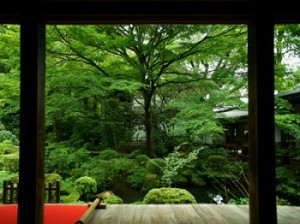 京都写真